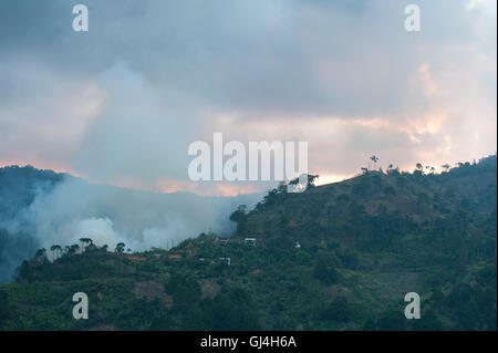 Smoke above Rainforest Madagascar Stock Photo