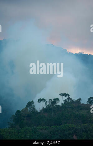 Smoke above Rainforest Madagascar Stock Photo