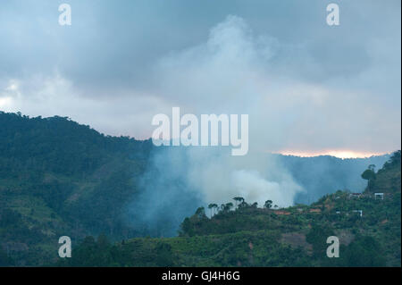 Smoke above Rainforest Madagascar Stock Photo