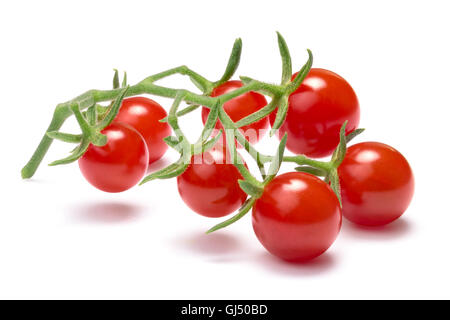 Cluster of tiny tomatoes on vine (Currant Sweet Pea cultivar). Clipping path, shadow separated, infinite depth of field Stock Photo