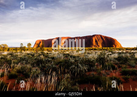 View of Uluru at sunrise in the Uluru-Kata Tjuta National Park. Stock Photo