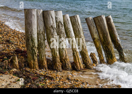 Old wooden groynes worn away by wave and tide. Stock Photo