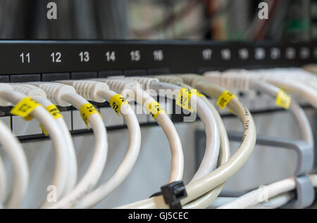 Computer Ethernet data Cables connected in a row on a data patch panel port to provide connectivity to a Network. Stock Photo