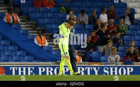 Brighton and Hove Albion's David Stockdale reacts after picking up an injury during the Sky Bet Championship match at the AMEX Stadium, Brighton. Stock Photo