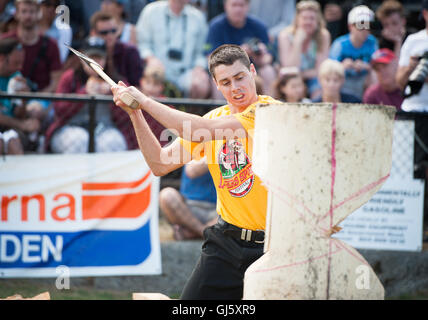 Loggers Springboard Jesse Whitehead of Waiuku, New Zealand in the open springboard chop ...