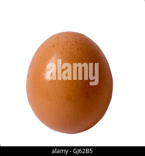 Single brown chicken egg isolated on white background Stock Photo