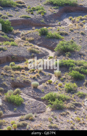 Dry wash in Chihuahuan Desert scrub.  Sevilleta National Wildlife Refuge, Socorro co., New Mexico, USA. Stock Photo