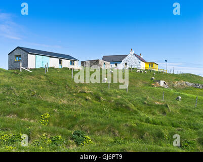 dh  FAIR ISLE SHETLAND Croft cottage house sheep in field