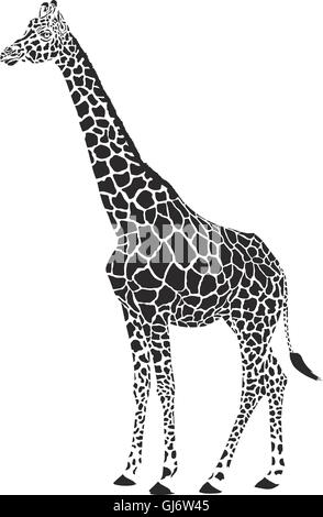 giraffe black and white vector Stock Vector