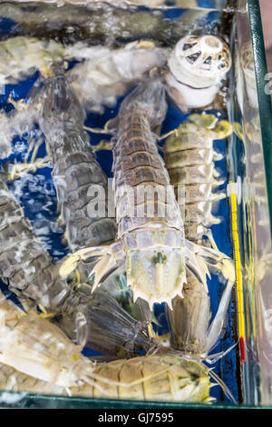 Zhenru fish market in Shanghai Stock Photo