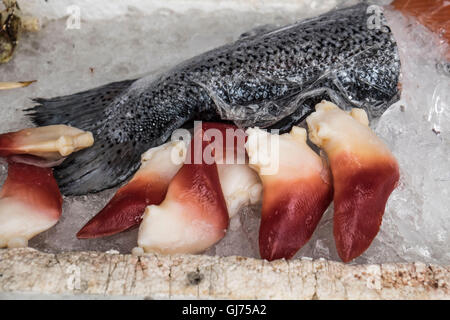 Zhenru fish market in Shanghai Stock Photo