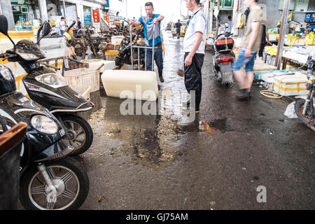 Zhenru fish market in Shanghai Stock Photo