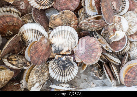 Zhenru fish market in Shanghai Stock Photo