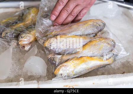 Zhenru fish market in Shanghai Stock Photo