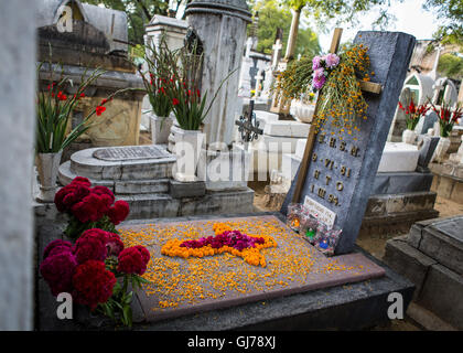 Day of the dead,decoration of graves at  San Miguel cemetary, Oaxaca, Mexico Stock Photo