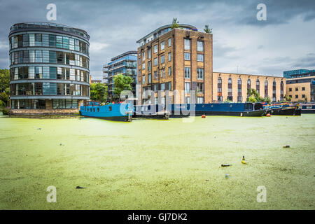 A blue river barge surrounded by thick green algae in Battlebridge Basin Kings Cross, London, NW1, England, UK Stock Photo