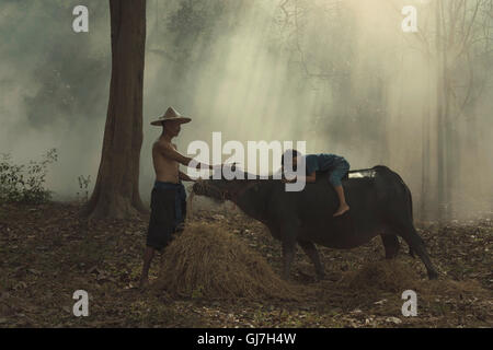 Peasant family And child lying on the back of a buffalo. Stock Photo
