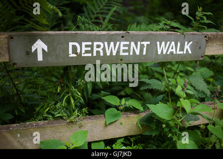 Sign for the Derwent Walk in near Rowlands Gill in County Durham. Stock Photo