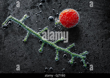 Cherry tomatoes on a branch in mineral water, a series of photos. Close-up carbonated water against black background Stock Photo