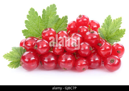 Red currant currants berries fruits fruit isolated on a white background Stock Photo