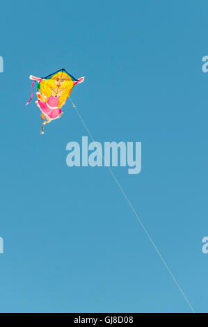 kites flying in Newport RI Stock Photo