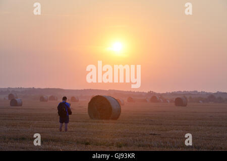 Amazing rural scene on autumn field with straw roles Stock Photo