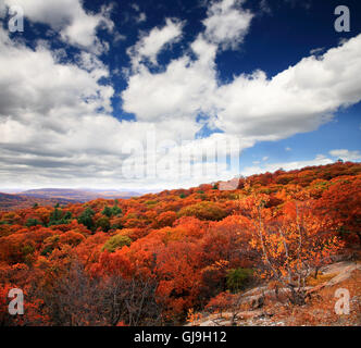 The foliage scenery from the top of Bear Mountain Stock Photo