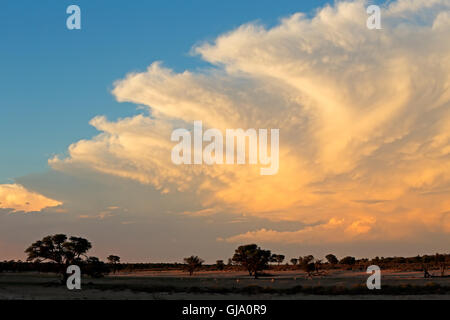 Dramatic late afternoon cloudscape over the Kalahari desert, South Africa Stock Photo