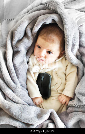 Baby mouse - digital native Stock Photo