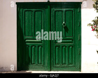 green wooden door closed Stock Photo