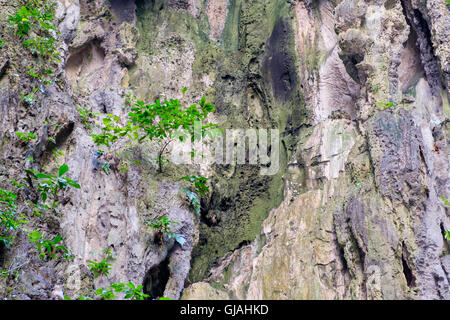 Wall of Batu Cave in Kuala Lumpur, Malaysia. Stock Photo