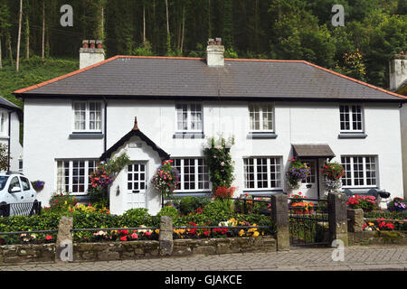 Pair of Cottages in Polperro, Cornwall Stock Photo