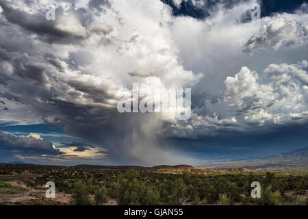 Dramatic cumulonimbus clouds from a storm near Bylas, Arizona Stock Photo