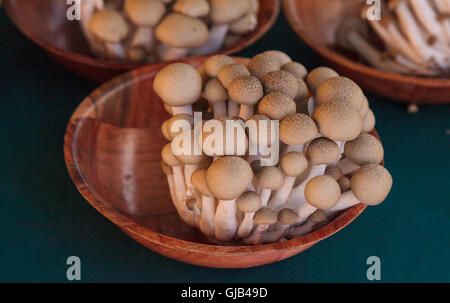 Brown beech mushrooms, Buna shimeji, grown in Southern California and displayed at a farmers market. Stock Photo