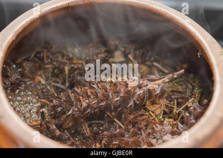 decocting medicinal herbs with enamel pot close up Stock Photo