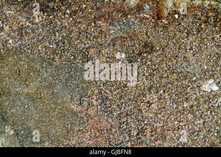 A grungy rock surface texture Stock Photo