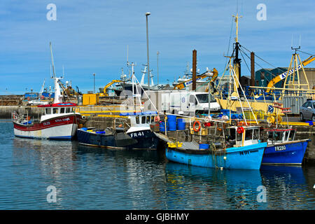 Fishing trawlers in the port of Fraserburgh, Scotland, Great Britain Stock Photo