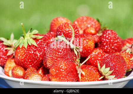 Plate with strawberry on grass Stock Photo