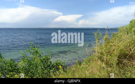 A cumulonimbus cloud with its anvil shape tries to establish on a warm autumn day, but fails. Stock Photo