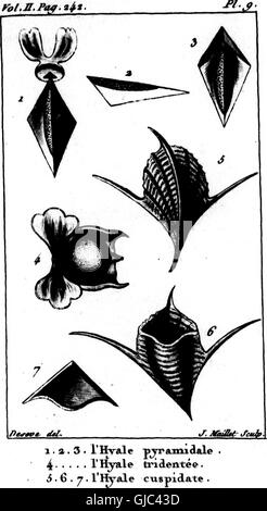 A natural history of shells, describing the shells and their ...