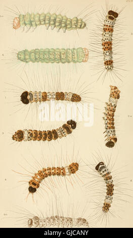 The *Entomologist's Record and Journal of Variation* (1892) is a ...