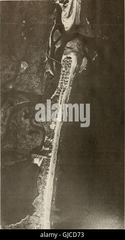 Beach and inlet changes at Ludlam Beach, New Jersey (1980) Stock Photo