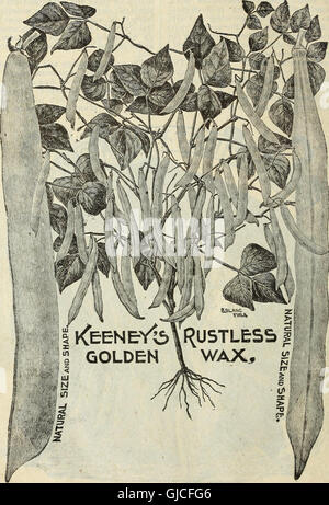 Steckler's seed catalogue and garden manual for the southern states - 1901 (1901)