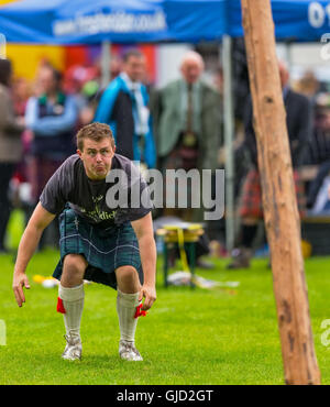 Ballater, Aberdeenshire,Scotland,UK. 11th August 2016. This is a scene from the activities within Ballater Highland Games. Stock Photo