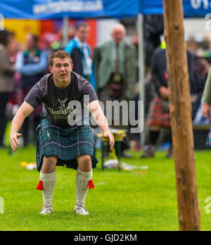 Ballater, Aberdeenshire,Scotland,UK. 11th August 2016. This is a scene from the activities within Ballater Highland Games. Stock Photo