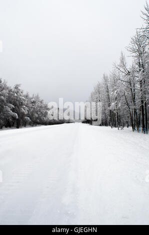 Snow covers all lands of the Parks Highway near Denali. Stock Photo