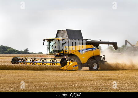Tarleton, UK.  15th August, 2016. UK Weather. New Holland CR8.90 Combine Harvester.  Wheat harvesting, harvest, agriculture, field, nature, crop, farm, rural, grain, food, summer, plant, cereal crops, yellow, dusty, dry weather, farming, rye, landscape, straw, countryside, sky, golden, harvesting season in rural Lancashire, UK Stock Photo
