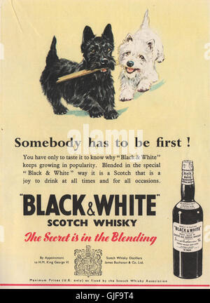 WHISKY ADVERT. Black & White Scotch Whisky, vintage print 1951 Stock Photo