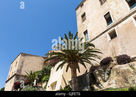 Calvi citadel in the French island of Corsica Stock Photo