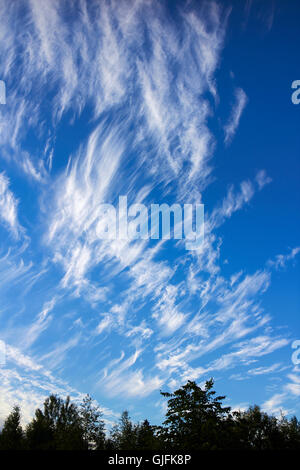 Cirrus fibratus clouds, Finland Stock Photo